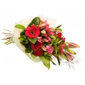 Fresh in Pinks and Greens