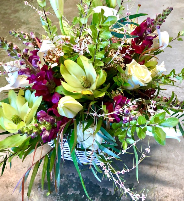 Native flowers grown in Australia - Florist-Choice-Natives-1