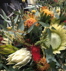 Florist Choice 1 - Australian Native Flowers