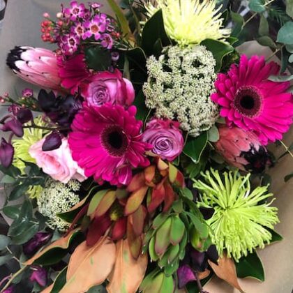 Florist Choice 2 - Colourful Natives and Conventional