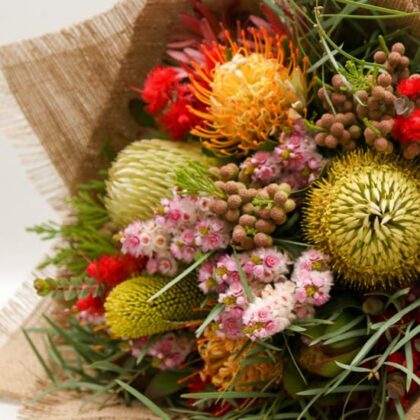 Florist Choice 4 - Seasonal Native Proteas