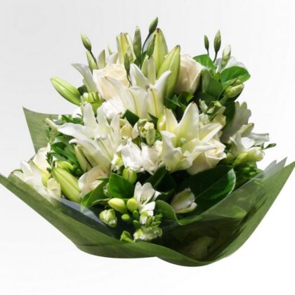 Classic in White and Green