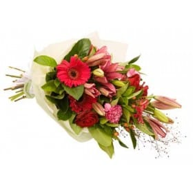 Fresh in Pinks and Greens